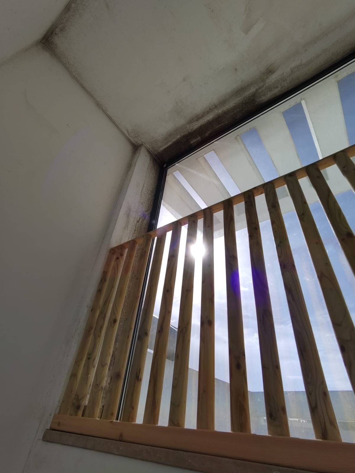 FLARIS - Controlo de Humidade | Pintura | Impermeabilização | Limpeza de Estofos - Algarve - Faro - Limpeza de Tapete