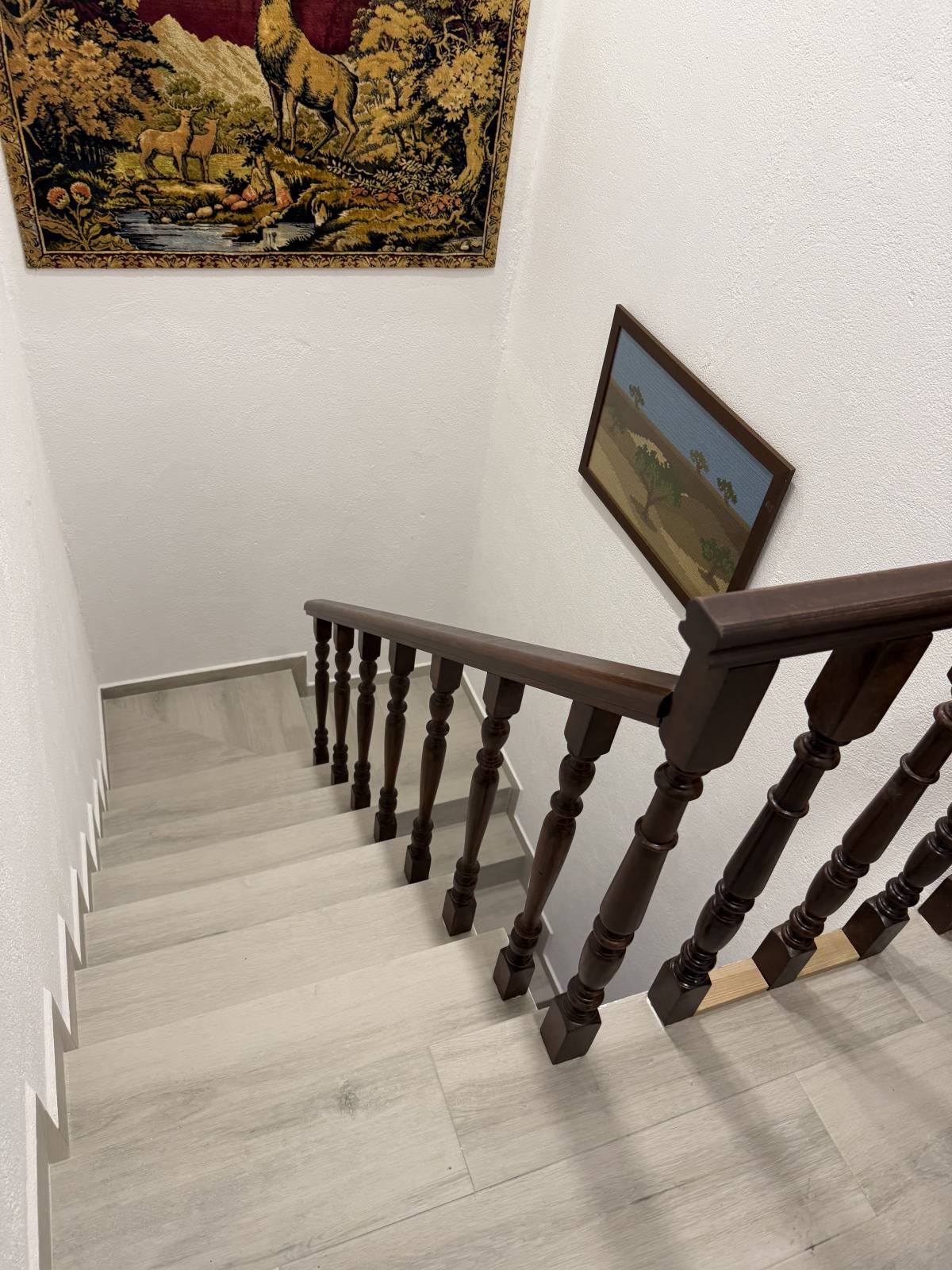 Mota - Sintra - Remodelações