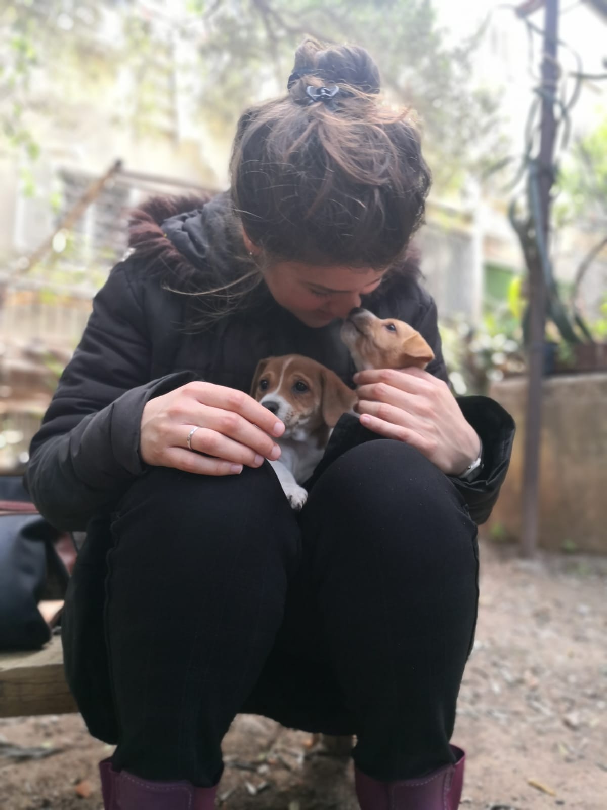 Amanda Pet Sitter & Dog Walker - Vila Nova de Poiares - Cat Sitting