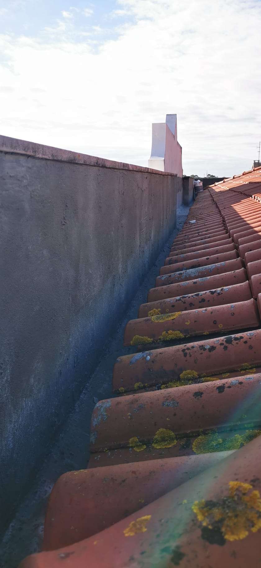 Wendrion Rodrigues - Oeiras - Masonry Construction Services