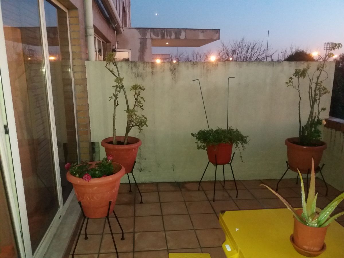Shine Inn - Limpezas Especializadas - Porto - Carpet Cleaning