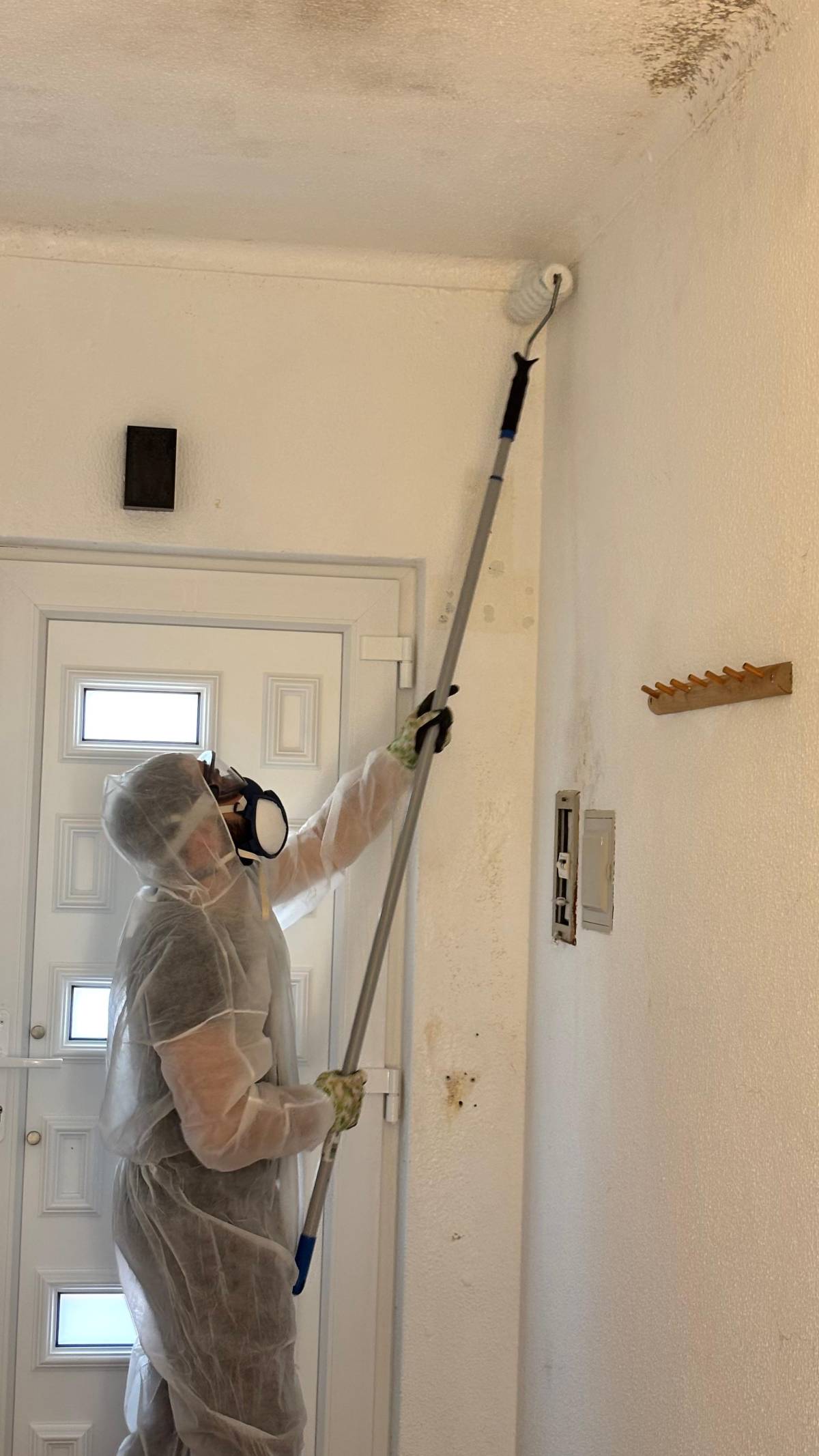 FLARIS - Controlo de Humidade | Pintura | Impermeabilização | Limpeza de Estofos - Algarve - Faro - Remoção de Papel de Parede