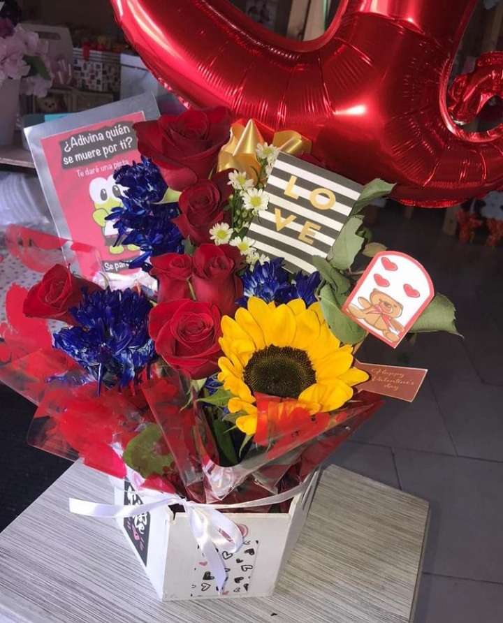 Zulmira Vieira - Loulé - Balloon Decorations