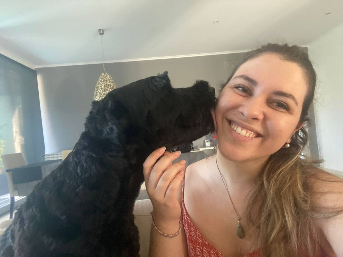 SweetPaws Petsitting - Sesimbra - Dog Sitting