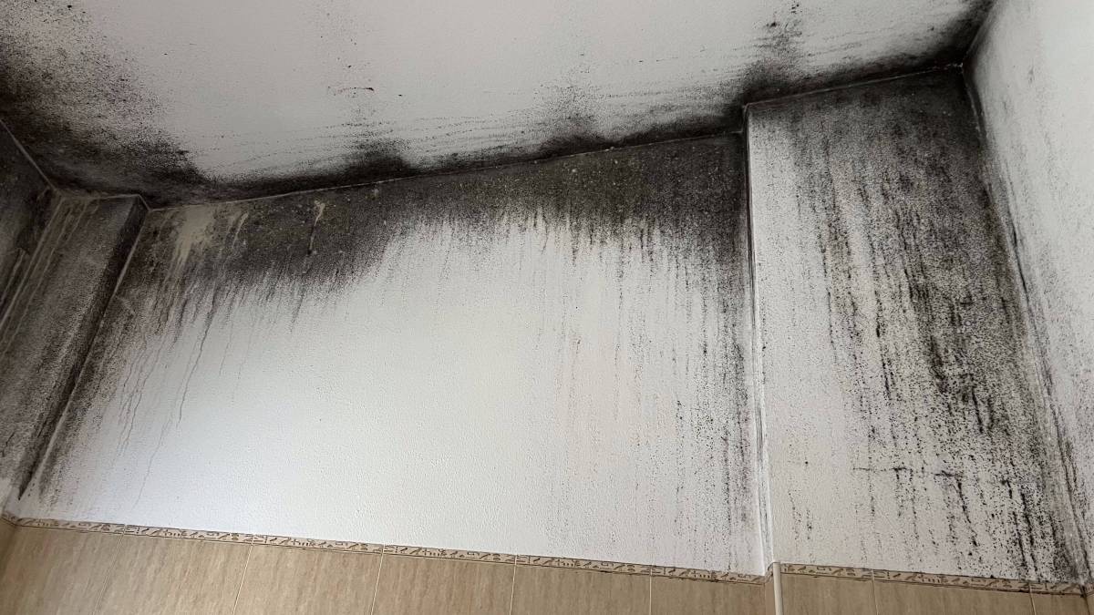 FLARIS - Controlo de Humidade | Pintura | Impermeabilização | Limpeza de Estofos - Algarve - Faro - Limpeza