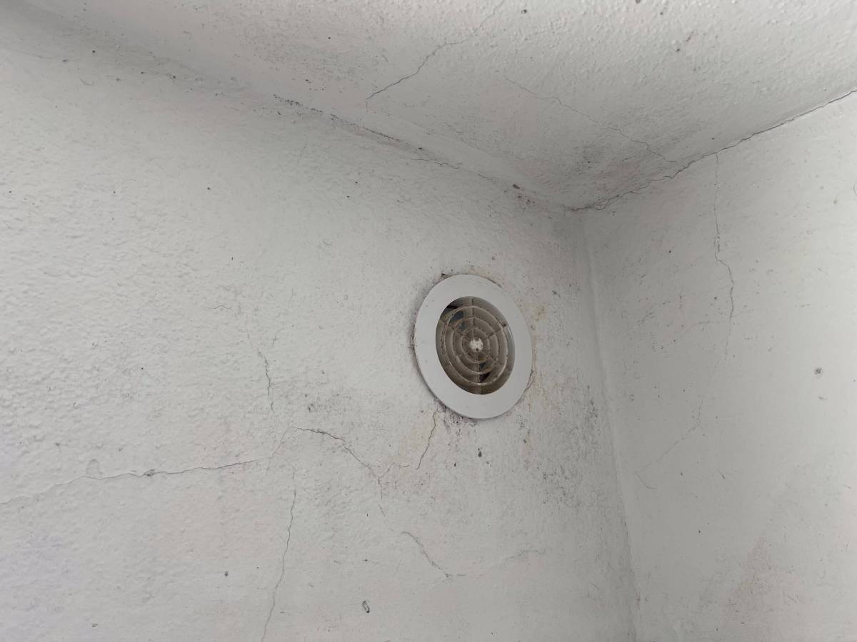 FLARIS - Controlo de Humidade | Pintura | Impermeabilização | Limpeza de Estofos - Algarve - Faro - Limpeza de Propriedade