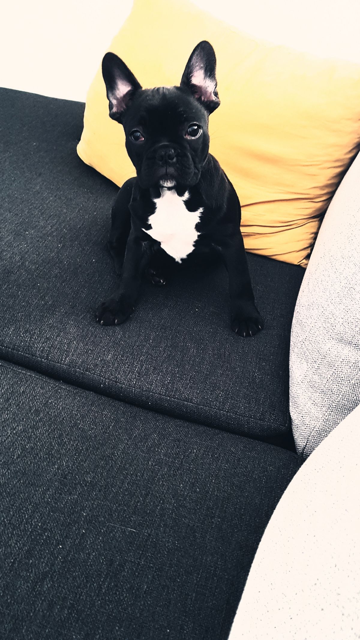 Patrícia Pais - Coimbra - Grundreinigung oder Frühjahrsputz