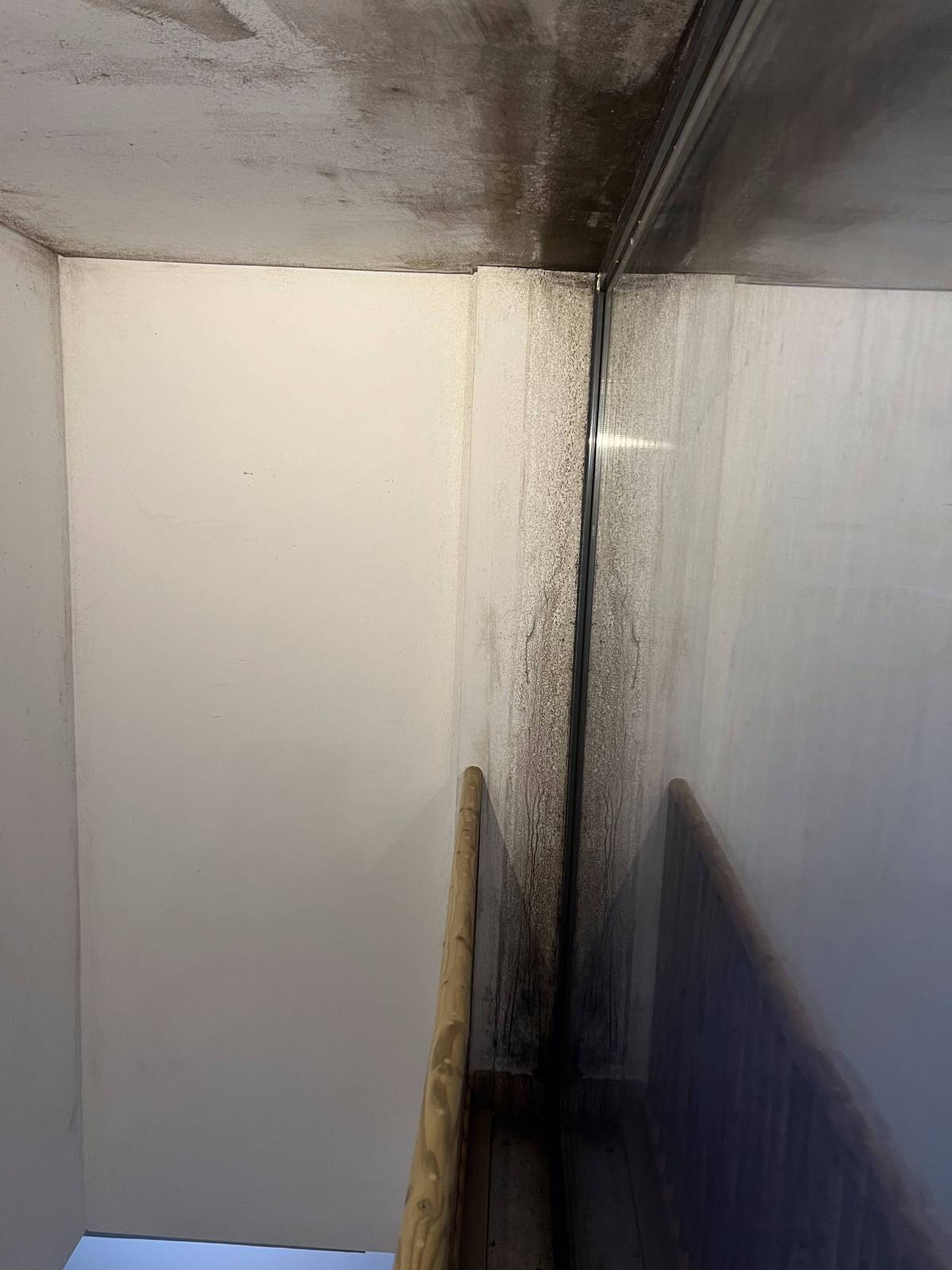 FLARIS - Controlo de Humidade | Pintura | Impermeabilização | Limpeza de Estofos - Algarve - Faro - Limpeza de Estofos e Mobília