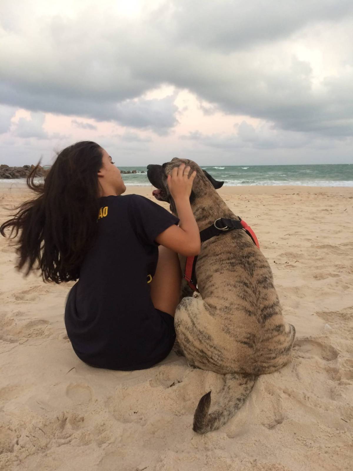 Lets DogWalker/Petsitting/HotelDomiciliar - Viseu - Grafikdesign