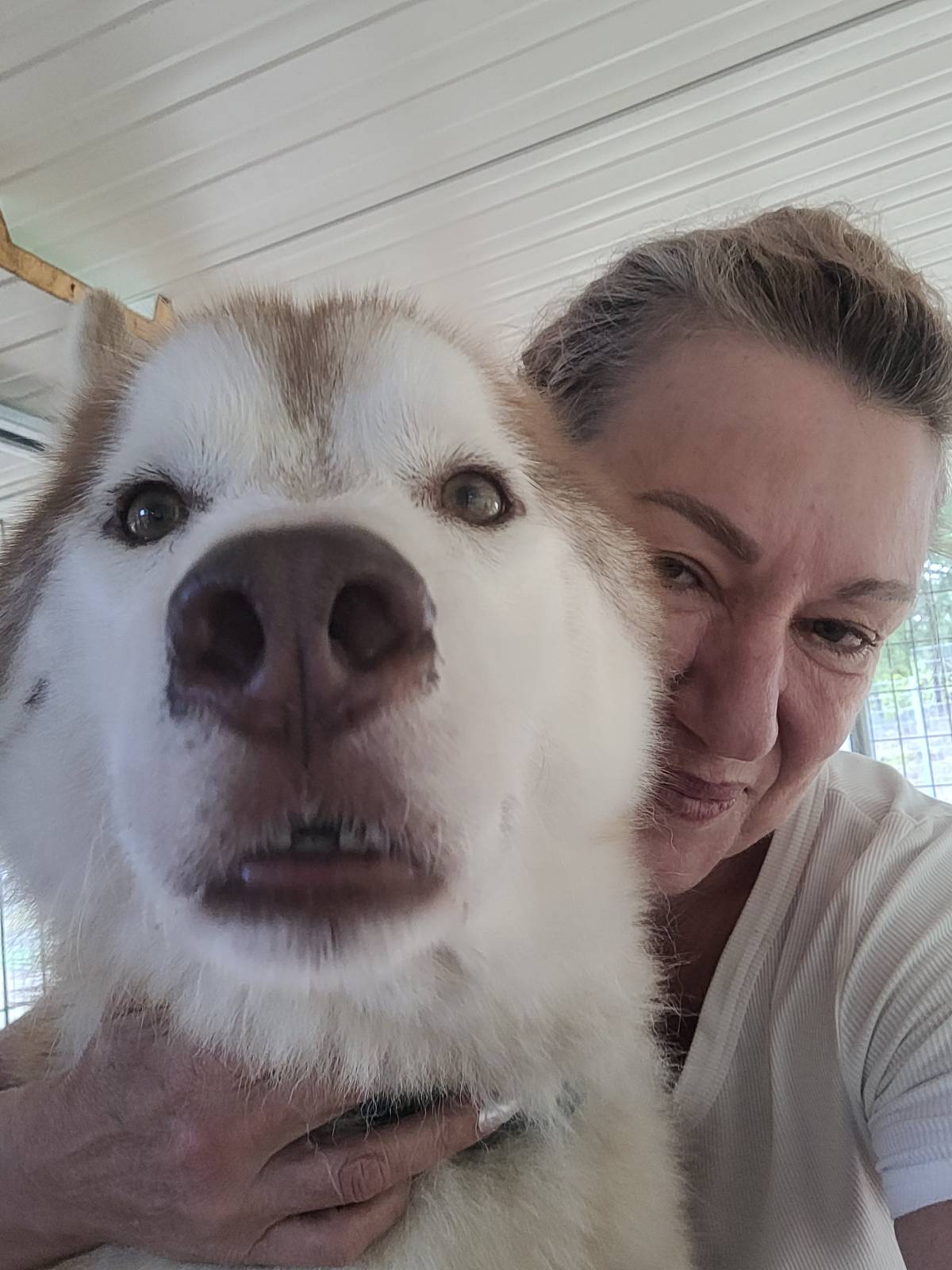 Izoleyde Contezini - babysitting - Ílhavo - Pet Sitting