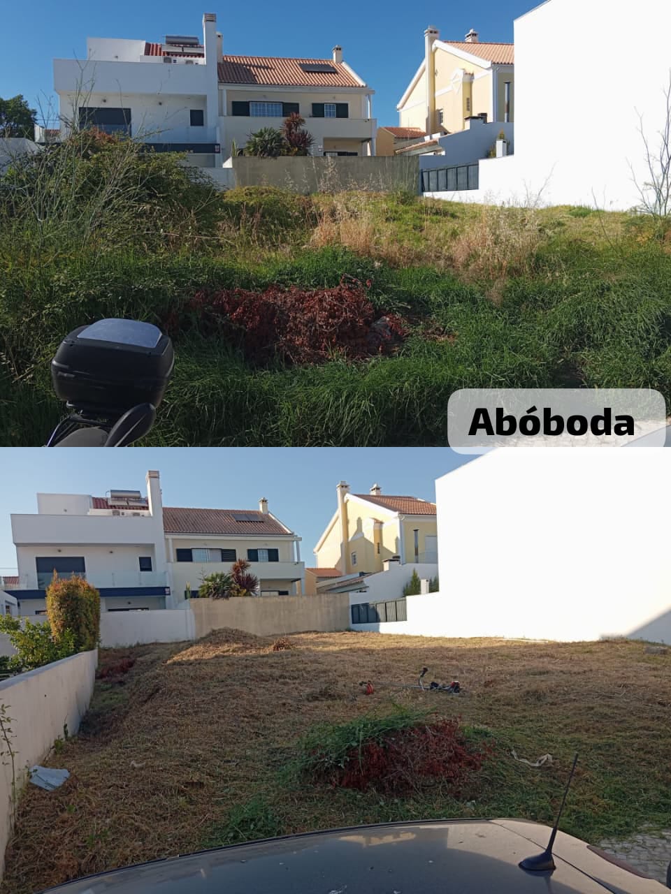 Gabriel - Cascais - Remoção de Arbustos