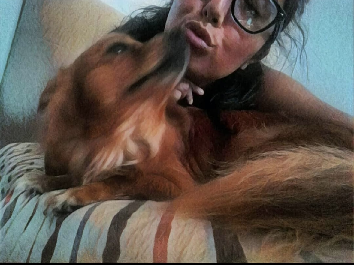 Lili - Leiria - Dog Sitting