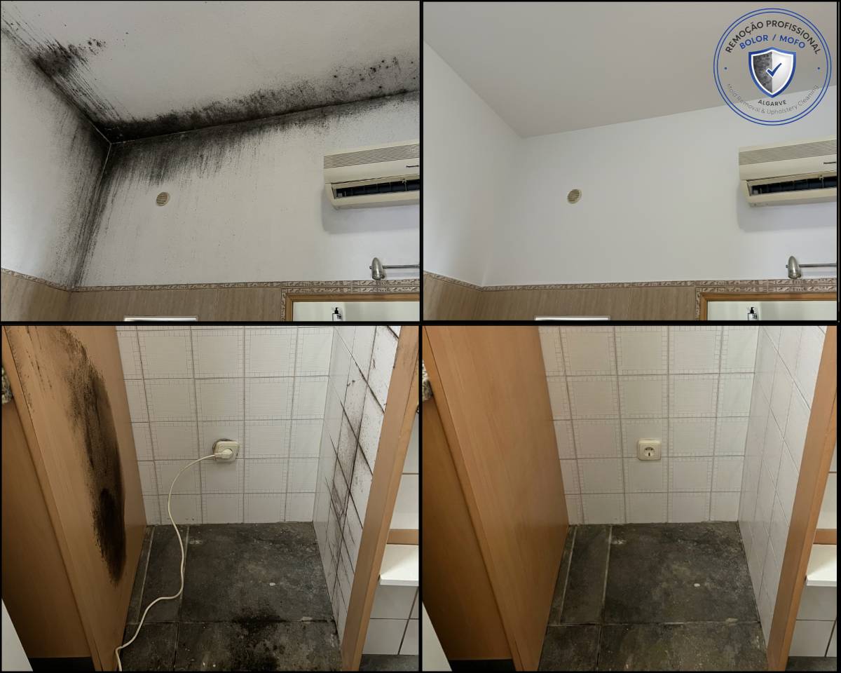 FLARIS - Controlo de Humidade | Pintura | Impermeabilização | Limpeza de Estofos - Algarve - Faro - Inspeção e Remoção de Bolor