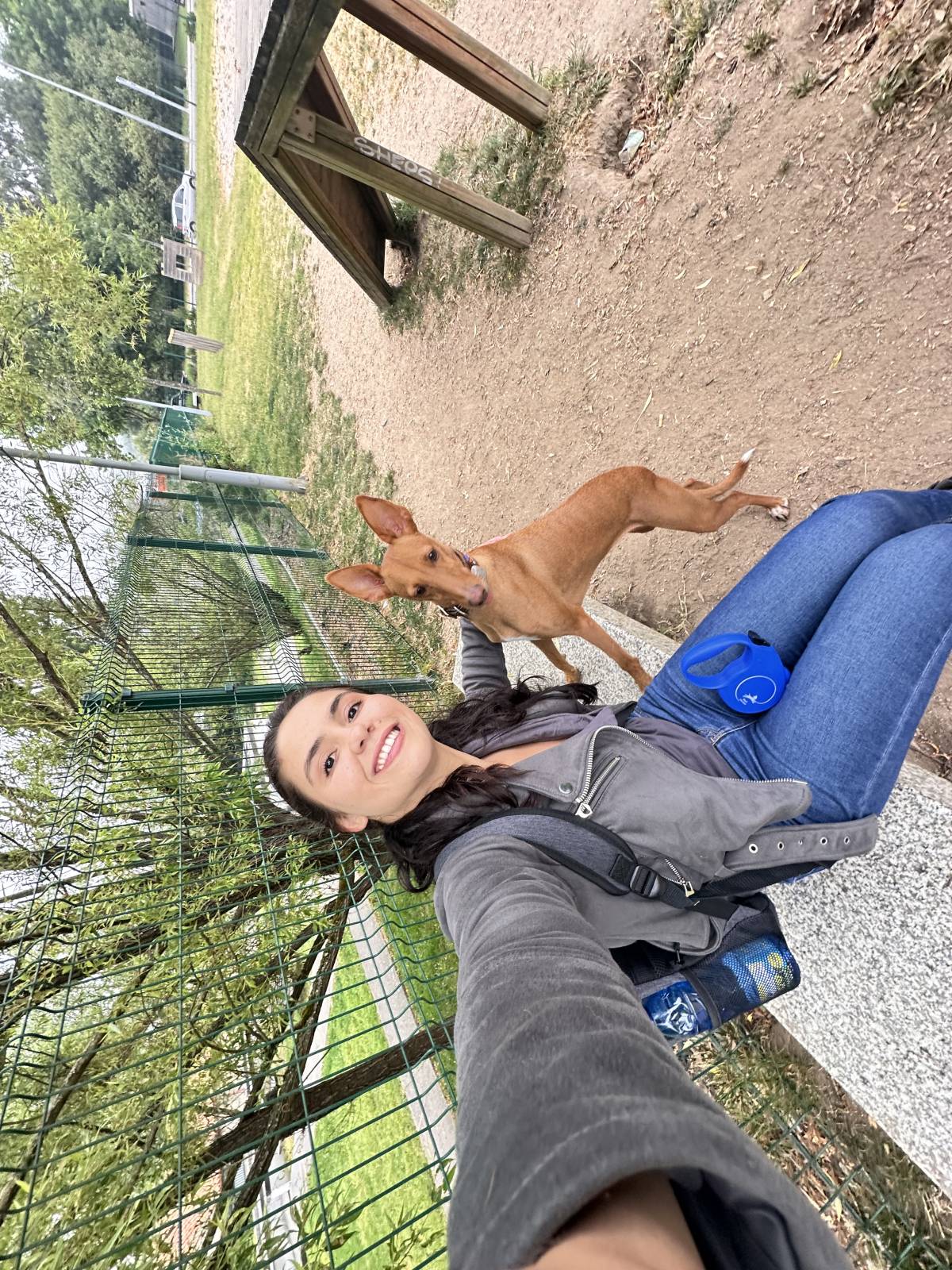 Lets DogWalker/Petsitting/HotelDomiciliar - Viseu - Hundepension
