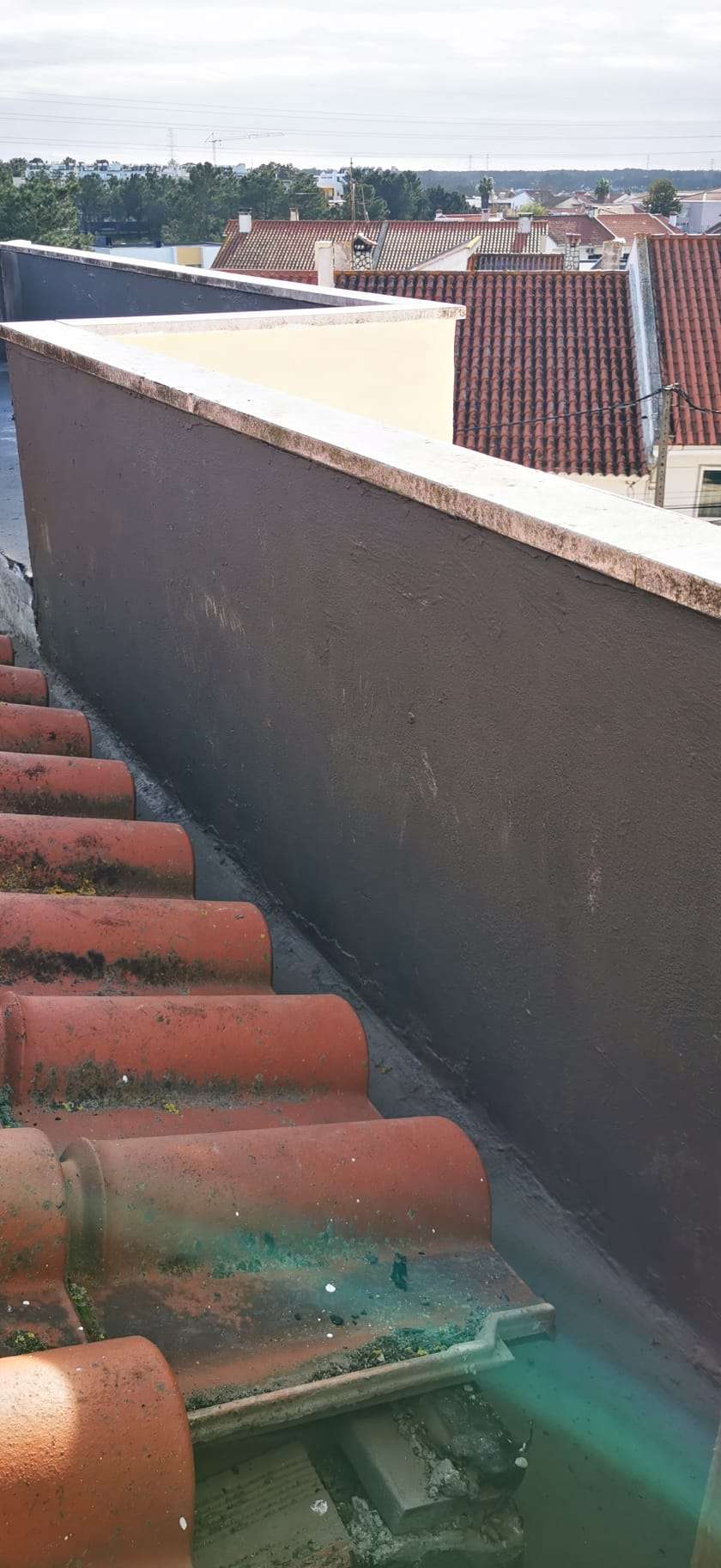 Wendrion Rodrigues - Oeiras - Gutter Repair