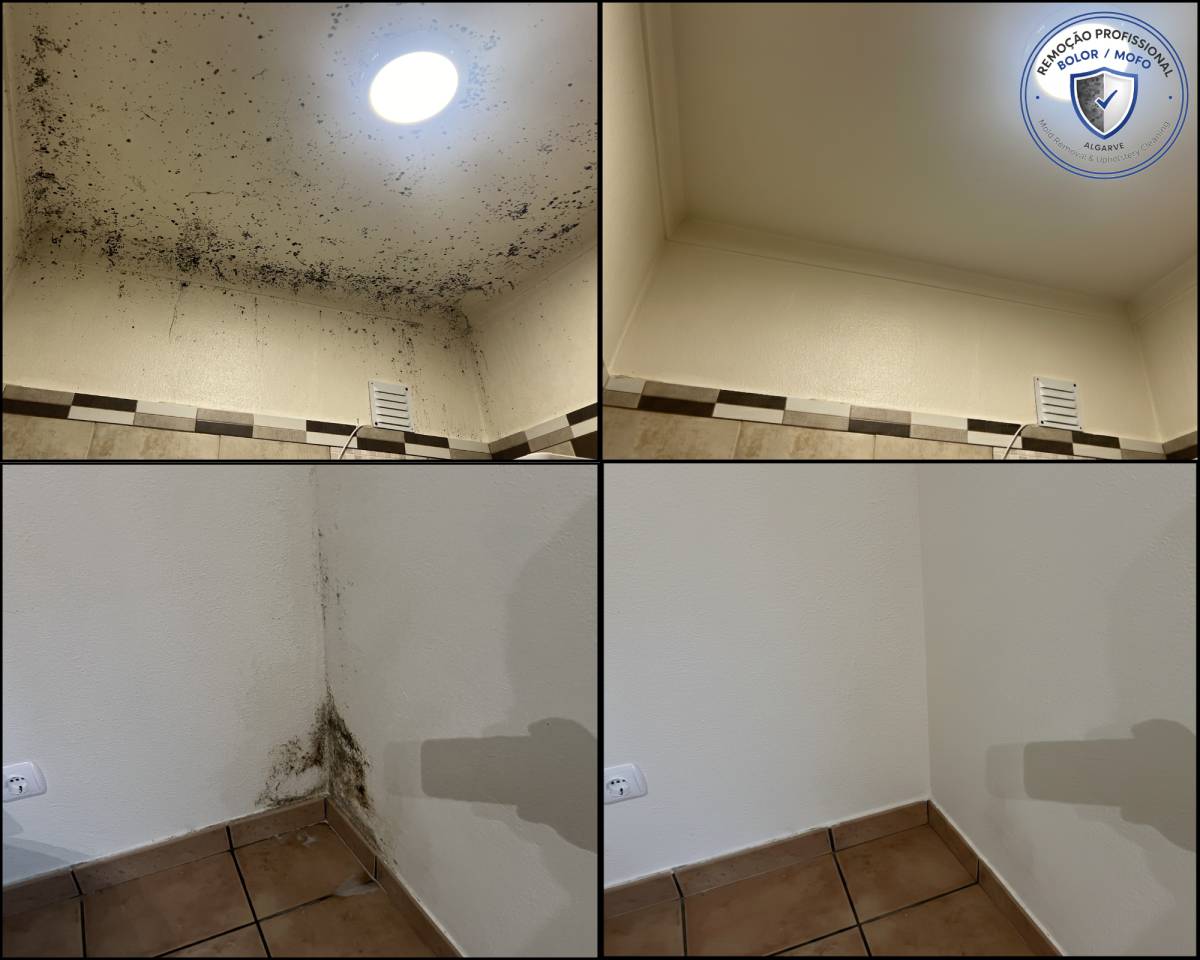 FLARIS - Controlo de Humidade | Pintura | Impermeabilização | Limpeza de Estofos - Algarve - Faro - Pintura de Portas
