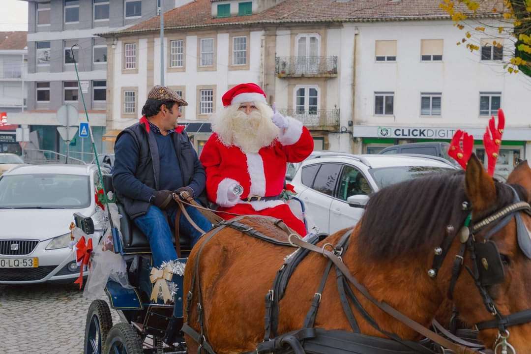 André Ferreira - Viseu - Entretenimento com Personagens Mascaradas