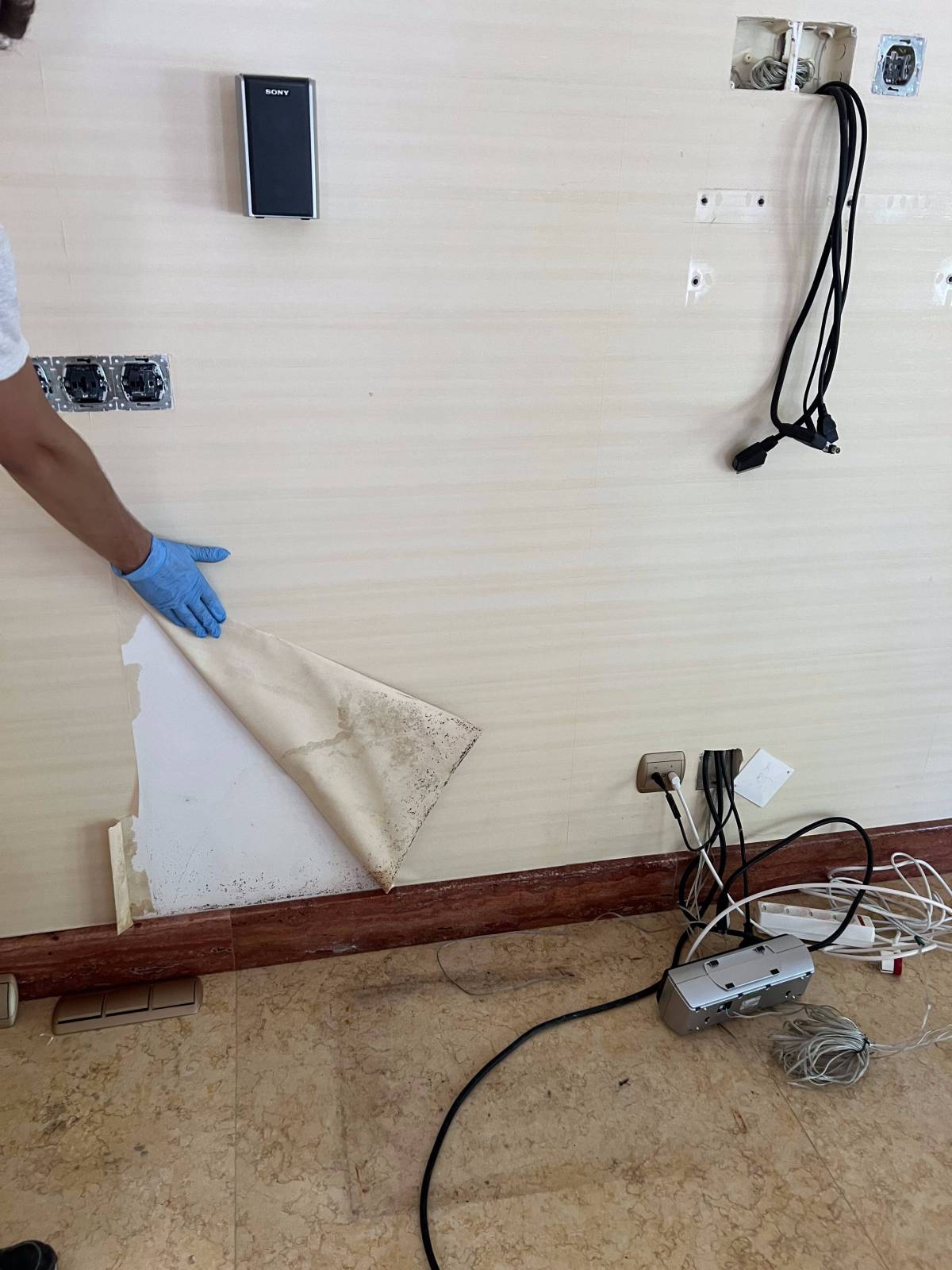 FLARIS - Controlo de Humidade | Pintura | Impermeabilização | Limpeza de Estofos - Algarve - Faro - Limpeza Geral