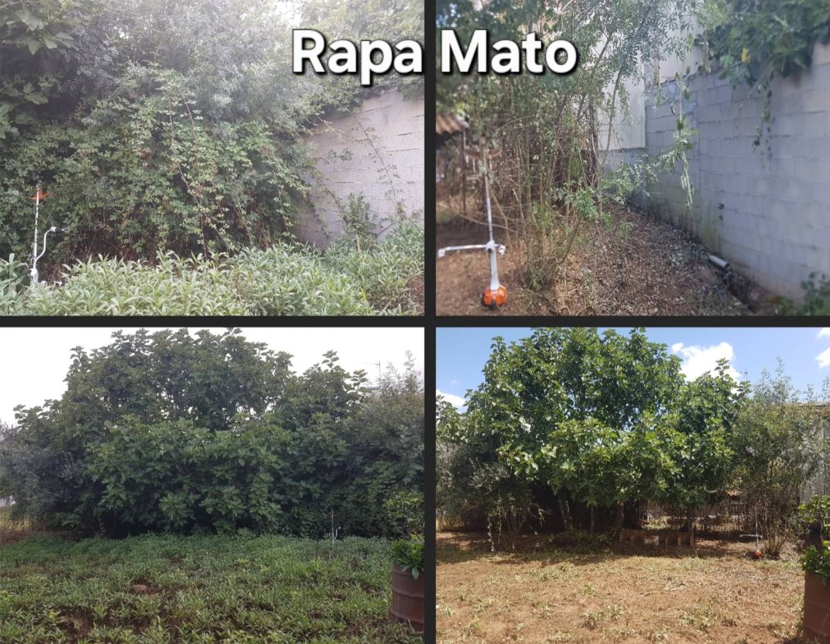 Rapa Mato - limpeza terrenos e matas - Condeixa-a-Nova - Shrub Removal