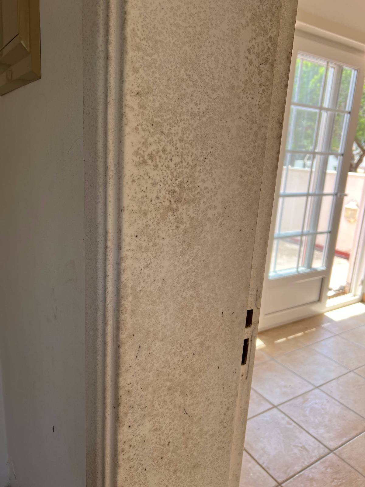 FLARIS - Controlo de Humidade | Pintura | Impermeabilização | Limpeza de Estofos - Algarve - Faro - Limpeza de Espaço Comercial