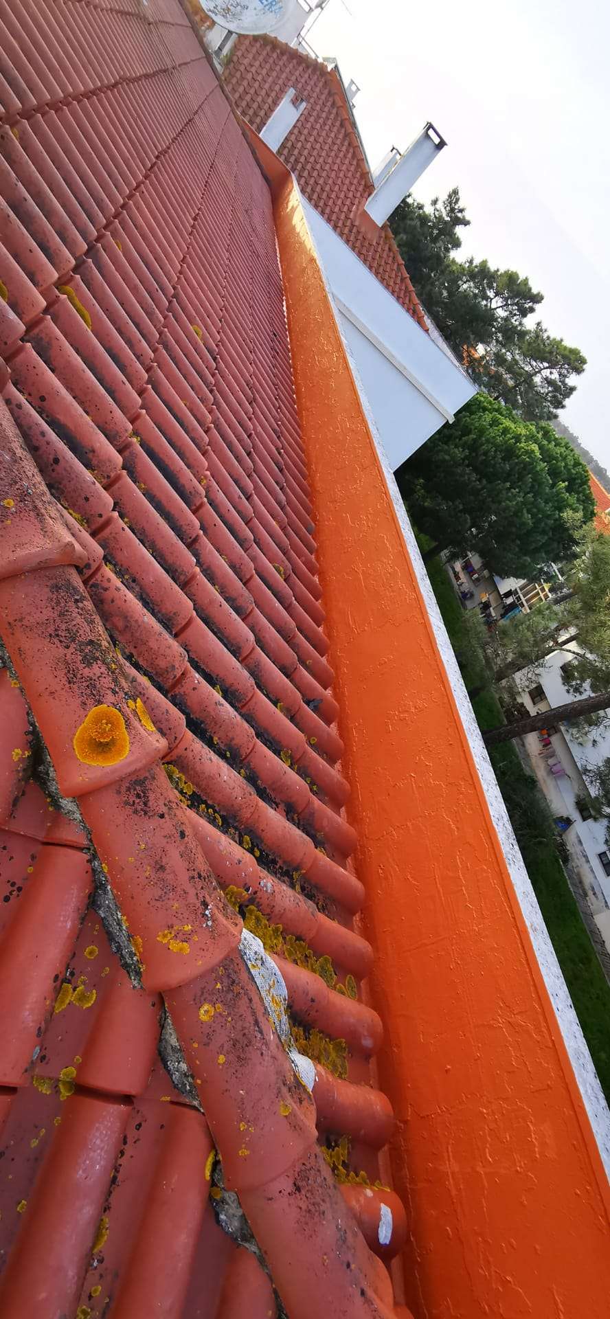 Wendrion Rodrigues - Oeiras - Outdoor Equipment or Furniture Assembly