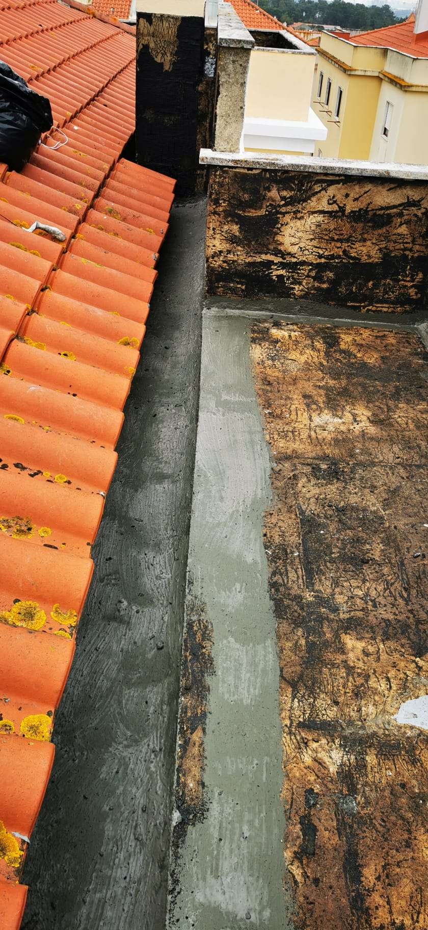 Wendrion Rodrigues - Oeiras - Limpeza de Telhado