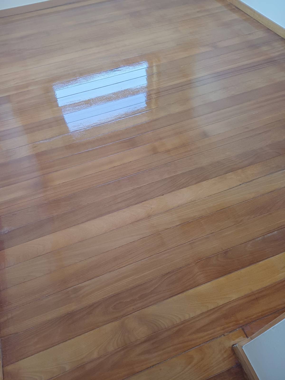 Alcindo Monginho - Évora - Flooring