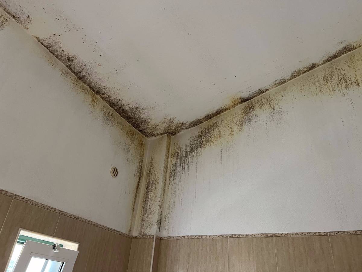 FLARIS - Controlo de Humidade | Pintura | Impermeabilização | Limpeza de Estofos - Algarve - Faro - Pintura