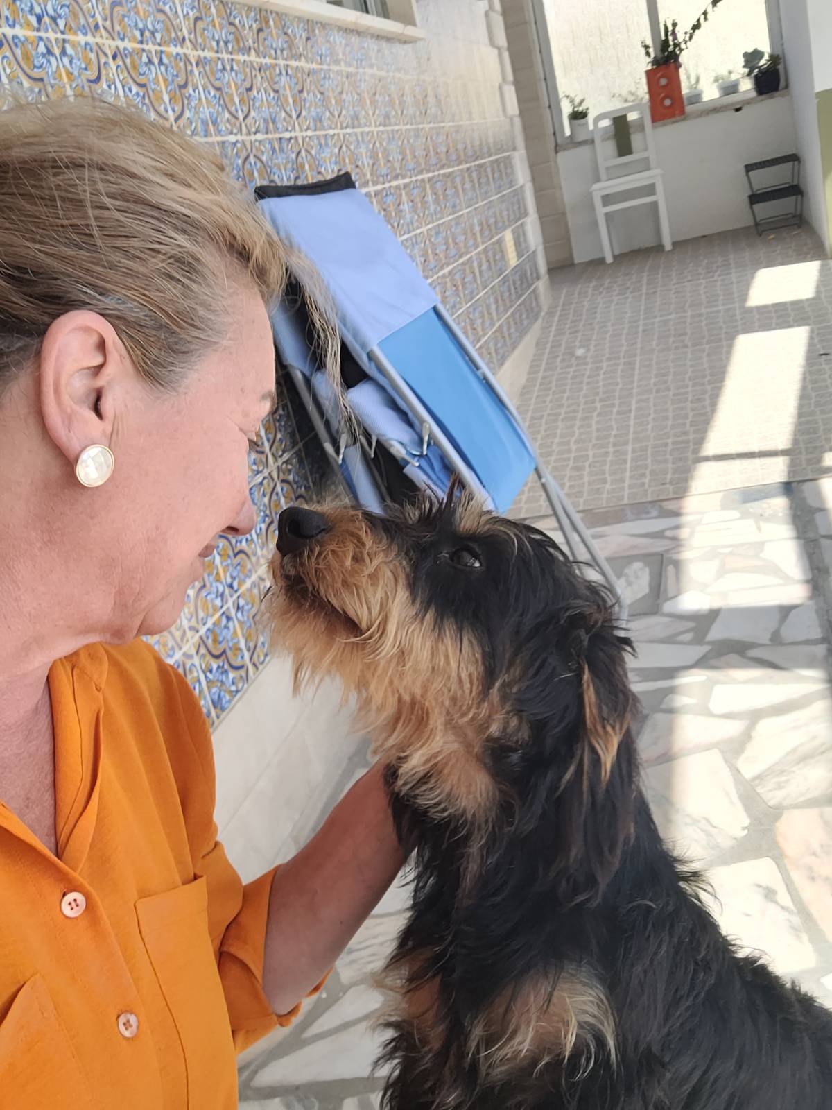 Izoleyde Contezini - babysitting - Ílhavo - Hundeausführung