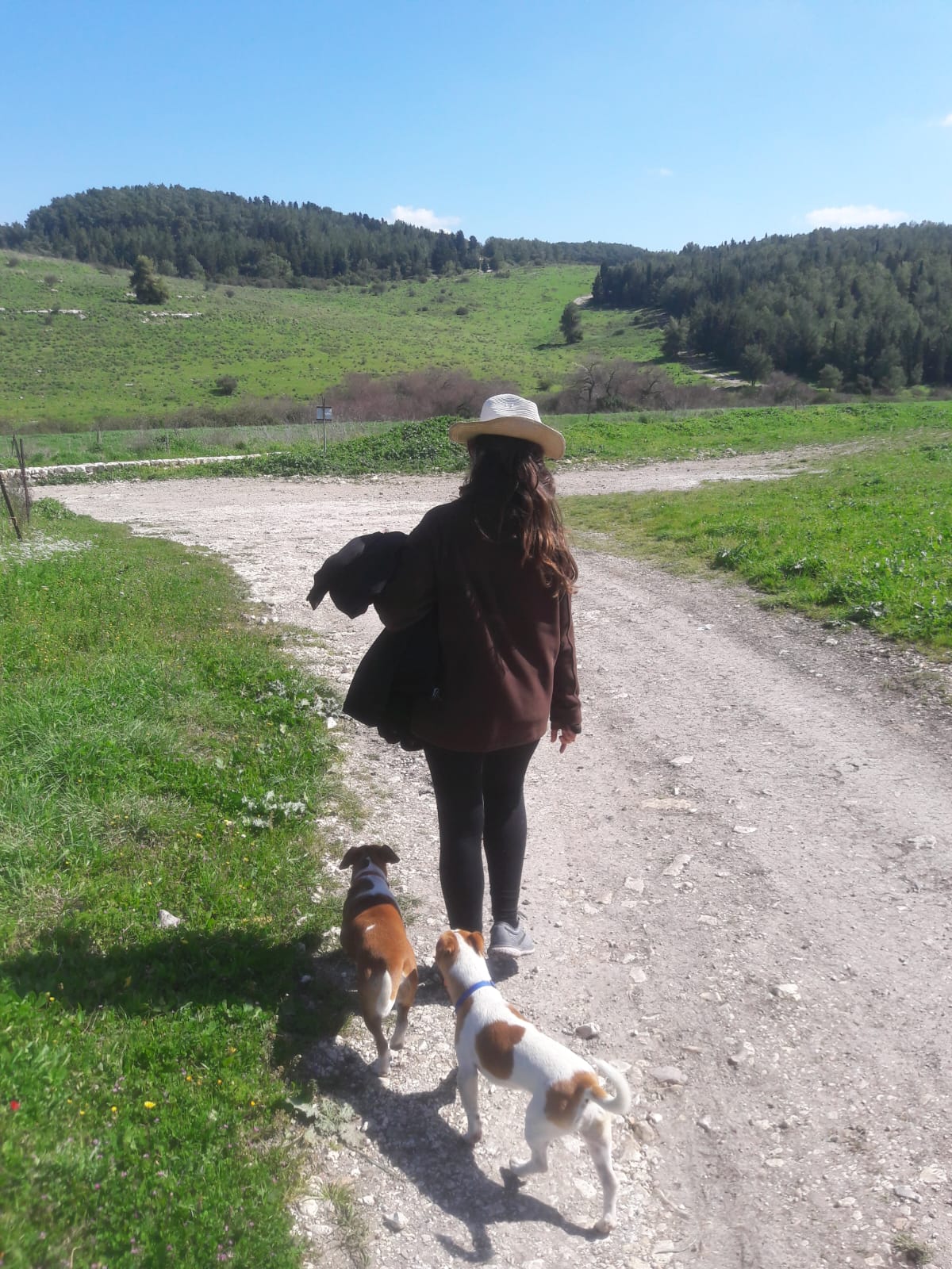 Amanda Pet Sitter & Dog Walker - Vila Nova de Poiares - Dog Walking
