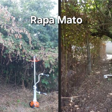 Rapa Mato - limpeza terrenos e matas - Condeixa-a-Nova - Deep or Spring Cleaning