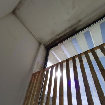 FLARIS - Controlo de Humidade | Pintura | Impermeabilização | Limpeza de Estofos - Algarve - Faro - Limpeza de Tapete