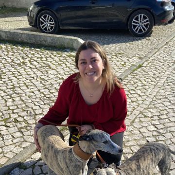 SweetPaws Petsitting - Sesimbra - Dog Sitting