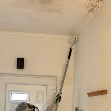FLARIS - Controlo de Humidade | Pintura | Impermeabilização | Limpeza de Estofos - Algarve - Faro - Remoção de Papel de Parede