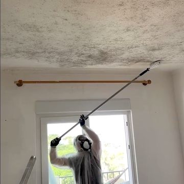 FLARIS - Controlo de Humidade | Pintura | Impermeabilização | Limpeza de Estofos - Algarve - Faro - Limpeza de Apartamento