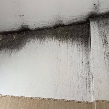 FLARIS - Controlo de Humidade | Pintura | Impermeabilização | Limpeza de Estofos - Algarve - Faro - Limpeza