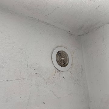 FLARIS - Controlo de Humidade | Pintura | Impermeabilização | Limpeza de Estofos - Algarve - Faro - Limpeza de Propriedade