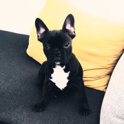 Patrícia Pais - Coimbra - Grundreinigung oder Frühjahrsputz