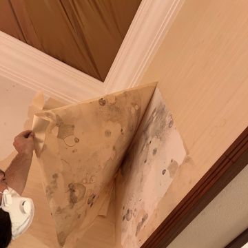 FLARIS - Controlo de Humidade | Pintura | Impermeabilização | Limpeza de Estofos - Algarve - Faro - Limpeza de Colchão