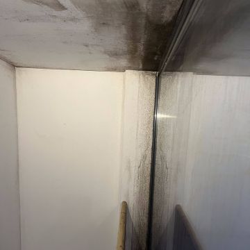 FLARIS - Controlo de Humidade | Pintura | Impermeabilização | Limpeza de Estofos - Algarve - Faro - Limpeza de Estofos e Mobília