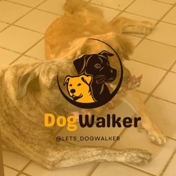 Lets DogWalker/Petsitting/HotelDomiciliar - Viseu - Animation (Grafisch)