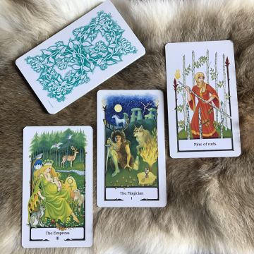 Celina Oliveira - Porto - Tarot Card Reading