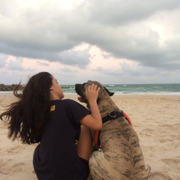 Lets DogWalker/Petsitting/HotelDomiciliar - Viseu - Grafikdesign