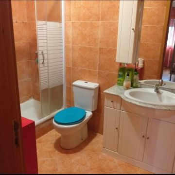 Mónica Martins - Valongo - Limpeza de Propriedade