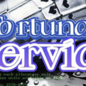 Fortunato Serviços - Leiria - Administrative Support