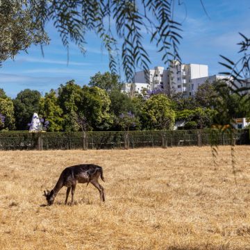 QSF Agroturismo - Sala de Eventos, Casas de Campo e Jardim - Évora - Espaço para Eventos
