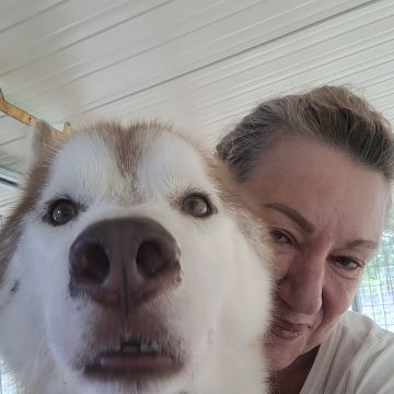 Izoleyde Contezini - babysitting - Ílhavo - Pet Sitting
