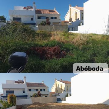 Gabriel - Cascais - Remoção de Arbustos