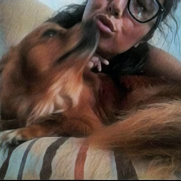 Lili - Leiria - Dog Sitting