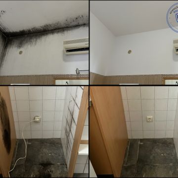 FLARIS - Controlo de Humidade | Pintura | Impermeabilização | Limpeza de Estofos - Algarve - Faro - Inspeção e Remoção de Bolor